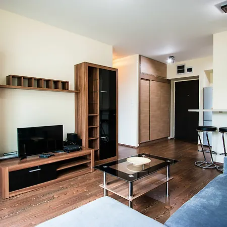 アパートホテル Vision 3*